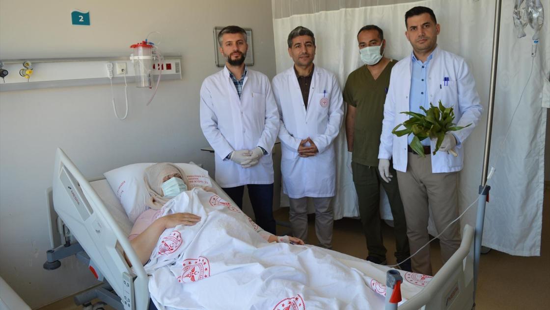 Doğadan topladığı ot kabusu oldu! Şeker hastalığına iyi gelir tavsiyesi yüzünden canından oluyordu:'Öldüm, dirildim'