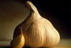 En sağlıklı kış besinleri