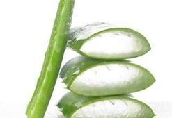 Aloe Vera her derde deva