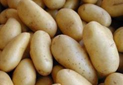 Ülserin ilacı: Patates suyu