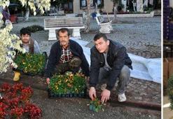 Avrupa Noel'i Türk çiçeğiyle kutlayacak