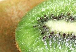 Günde 1 kivi her derde deva