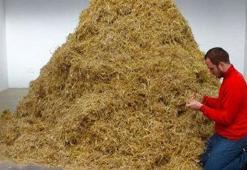 48 saat boyunca samanlıkta iğne aradı