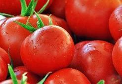 Kansere karşı kırmızı kalkan: Domates