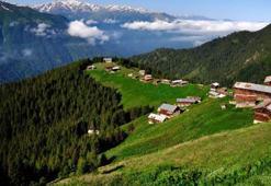 Mahkemenin durdurduğu Yeşil Yol'a bakanlıktan ikinci onay