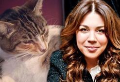 Yeşim Ceren Bozoğlu'nun kedi sevgisi şaşırrtı!