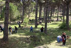 Bergama’da mantar sevenleri buluşturan festival