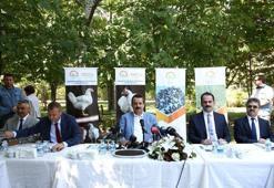 Türkiye'de ilk kez geliştirilen 'etçi damızlık tavuk' ve 'siyah pirinç' tanıtıldı