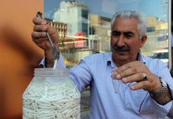 Kenger sakızının kilosu 600 TL'den satılıyor