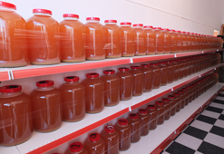 1065 çeşit probiyotikli turşuyla Guinness Rekorlar Kitabı’na girdi