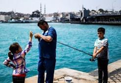 Haftada bir balık yiyen çocuklar daha zeki oluyor