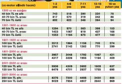 Zamlı emekli maaşı ne zaman yatacak?