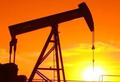 ABD'nin 5 büyük enerji firmasına dava
