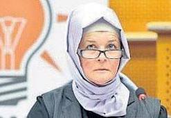 AK Parti'den Avrupa hamlesi
