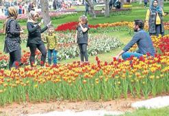 Dülük huzur veriyor