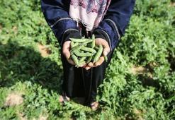 Tarımda 5,5 milyon kişi 120 milyon ton ürün üretiyor
