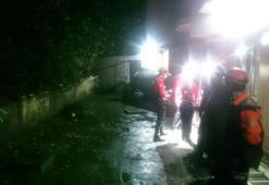 Bursa'da yavru kedi kurtarma seferberliği
