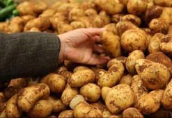 15-20 gün içerisinde patates ve soğan 1-1,5 lira olacak