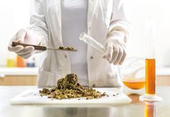 Hangi tür propolis tercih edilmeli?