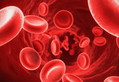 Anemi nedir, belirtileri nelerdir?