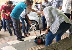 Şanlıurfa'da sosyal mesafeye uymayan yılan vatandaşların üzerine düştü