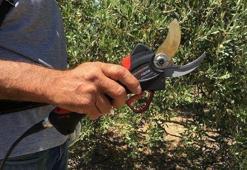 Bahçıvanların vazgeçilmezi olan elektrikli budama makası