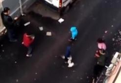 Kediler kavga etti ortada kalan çocuk oldu