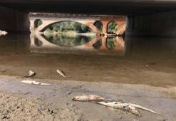 Tankerin devrildiği çaya 2 HES'ten su bırakıldı