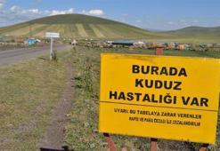 Antalya'da 7 mahallede kuduz karantinası