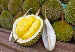 Endonezya'da tanesi 5280 liraya satılan meyve durian