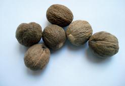 Muskatın fazlası tehlikeli! Afrodizyak etkiden halüsinasyona...