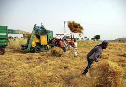 2019 Tarımsal destek ödemeleri ne zaman verilecek? İşte son gelişmeler...