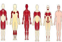 DMD (Duchene Kas Distrofisi) nedir?
