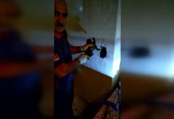 Bacada mahsur kalan yavru kedi böyle kurtarıldı