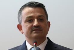 Bakan Pakdemirli'den etçi buzağı desteği müjdesi