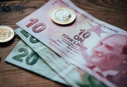 Cumhurbaşkanlığı'ndan meslek tercih rehberi! 5 bin 890 lira maaş...