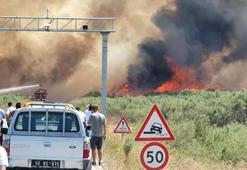 Edremit sahilinde korkutan yangın!