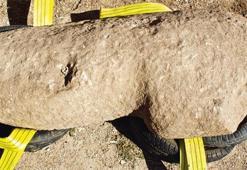 Göbeklitepe'de yeni keşif: 'Urfa Adamı'nın kardeşi bulundu