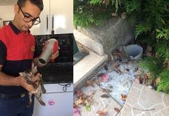 Yağmur suyu borusuna sıkışan kedi kurtarıldı
