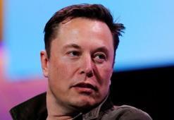 Elon Musk 1 milyon ağaç dikilmesi için 1 milyon dolar bağışladı