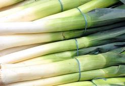 Pırasanın faydaları nelerdir, nelere iyi gelir? Pırasa nasıl tüketilmeli?