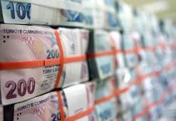 Yılbaşı öncesi 425 milyon lira destek ödemesi yapılacak