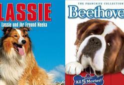 Bu filmlerde köpekler başrolde