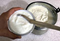 Yoğurt tüketiminin gripten koruduğu tespit edildi