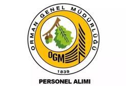 Orman Genel Müdürlüğü 390 geçici işçi alacak