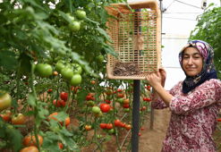 Eşinin dolandırıldığı mesaj, girişimci kadının hayatını değiştirdi! İşinin patronu oldu