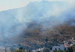 Bodrum'da makilik alanda yangın