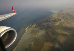 THY, binlerce ağacın kesilmesinin önüne geçti