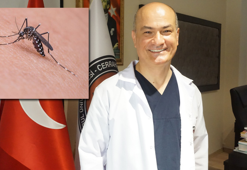 İstanbulluların yeni korkusu sivrisinekler! Uzmanlar sayıların neden arttığını söyledi