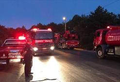 İstanbul'da orman yangını